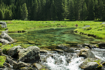 beautiful riekenbach in the high tauern range in carinthia, austria.