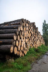 wood log firewood tree cut pile stack timber, oak, nature logs woodpile lumber trunk, brown texture forest trees pattern wooden industry stacked circle abstract natural forestry processing