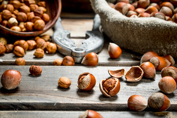 Hazelnuts in the shell.