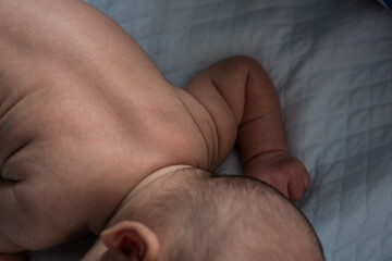 newborn baby's bach of the head