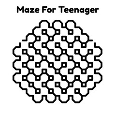 Maze Puzzle
