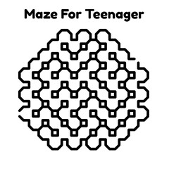 Maze Puzzle