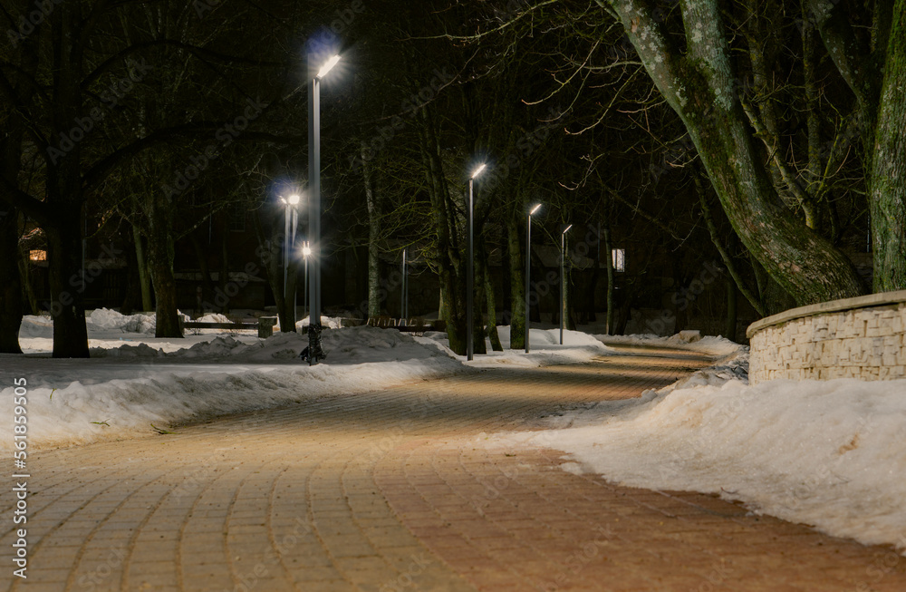 Wall mural paving stone path in the park at the evening and lantern lights. winter