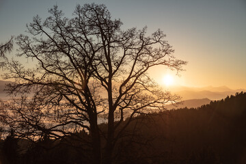 autumn sunset seen from Lorenziberg looking southwest over the foggy valleys of carinthia.