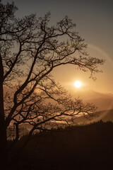 Fototapeta premium autumn sunset seen from Lorenziberg looking southwest over the foggy valleys of carinthia.