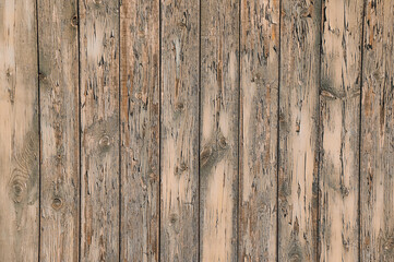 Old Gray-beige textured background made of natural wood. Wooden panel made of vertical boards