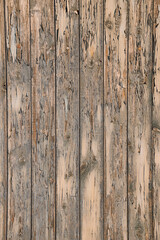 Old Gray-beige textured background made of natural wood. Wooden panel made of vertical boards