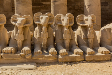 Ram headed sphinxes in the Amun Temple enclosure in Karnak, Egypt