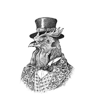 Rooster character in a hat. Fashionable Aristocrat or Rich Man. Hand drawn cockerel. Engraved old monochrome sketch.