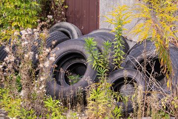 Old and worn tires in a heap among grasses and plants next to an abandoned building pollute the...