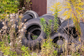 Old and worn tires in a heap among grasses and plants next to an abandoned building pollute the environment. Poison.