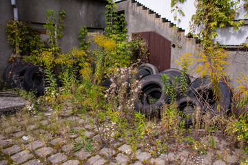 Old and worn tires in a heap among grasses and plants next to an abandoned building pollute the environment. Poison.