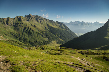 Fototapeta premium summer landscape in the carinc alps and month fleons standing tall.