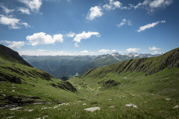 summer landscape in the tyrolese mountains