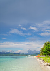 vertical photo of panoramic background of a colorful tropical beach with a blue sky, palm trees and boats of bright colors, copy space