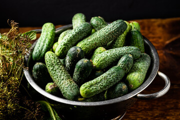 Fresh organic cucumbers in a sieve on a dark wooden background. Preparing for pickling.