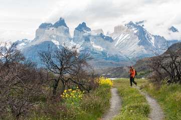 Fototapeta premium cuernos del paine, torres del paine, sur de chile, carretera austral, lago, montagna, acuático, naturaleza, paisaje, cielo, nieve, montagna, alaska, glaciar, nube, viajando, verano, bosque, escénic