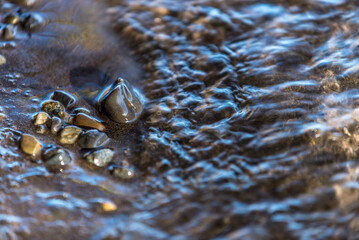 acuático, naturaleza, río, mar, gemas, arroyo, animal, olas, roca, arena, llover, playa, cangrejo, mojado, verano, macro, peces, oceáno, fresco, alimento, roca, azul, insecto, lago