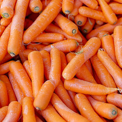 Raw, organic carrots top view closeup, tasty orange background.