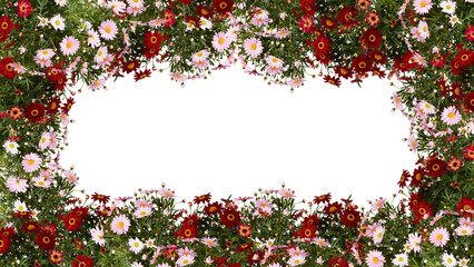 frame of flowers copy space for text with cut out isolated on background transparent