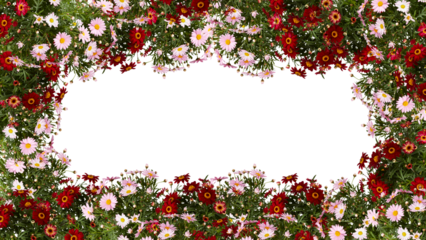 frame of flowers copy space for text with cut out isolated on background transparent