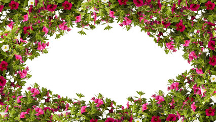 frame of flowers copy space for text with cut out isolated on background transparent