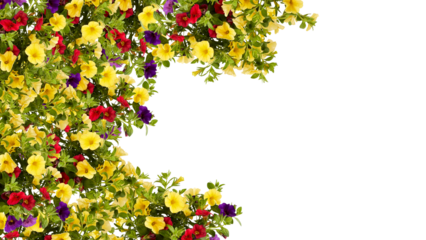 frame of flowers copy space for text with cut out isolated on background transparent