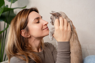 woman hands stroking the face of a Burmese cat close-up. The concept of love for pets.