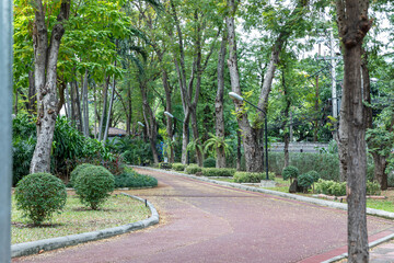 Walkway in a natural park with good weather