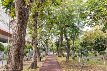 Walkway in a natural park with good weather