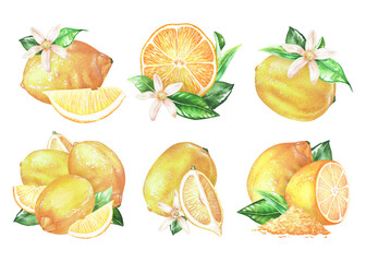 Set of compositions from yellow lemons, leaves, flowers. Watercolor illustration. Isolated on a white background. For your design stickers, nature prints, product packaging with citrus acid or scent