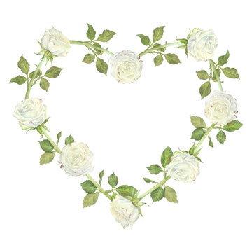 A wreath of white roses in the shape of a heart. Place for inscription or text. Watercolor illustration. Isolated on a white background. For design of dishes, greeting card, wedding invitation