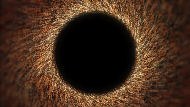 Golden particles swirl in mesmerizing vortex with empty copyspace in center. Perfect for adding message or logo. 4K seamless loop on black background.