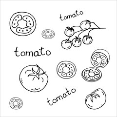 Doodle tomatoes, tomato slices, Cherry, lettering. Line art black and white style. Vector illustration.