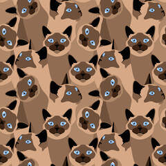 Obraz premium Beautiful brown Siamese cats with blue eyes. Animal seamless pattern, background, print. Vector illustration