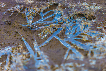 congelado, agua congelada, agua fria de  rio, naturaleza, de invierno, con textura, nieve, roca, fábrica, abstracta, acuático, gemas, macro, verde, musgo, catarro, hielo, viejo, close-up, dechado, mur