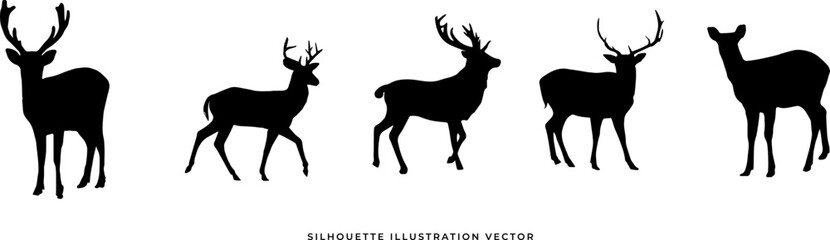 wild animals silhouettes vector illustration. Isolated animals
