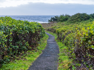 Fototapeta na wymiar The Captain Cook Trail runs above the Pacific Ocean at Cape Perpetua State Park, Oregon, USA