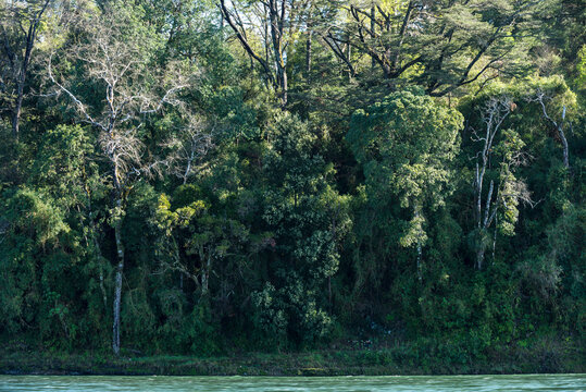 bosque, &aacute;rbol, naturaleza, &aacute;rbol, paisaje, cielo, verde, madera, montagna, hojas, verano, aparcar, montagna, impresiones, c&eacute;sped, ambiente, madera, primavera, f&aacute;brica, valle, languidecer, oto&ntilde;al, cerr