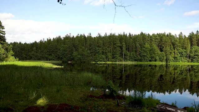 Reflective calm lake with green forest and blue sky Drone flight Porvoo, Humla, Finland