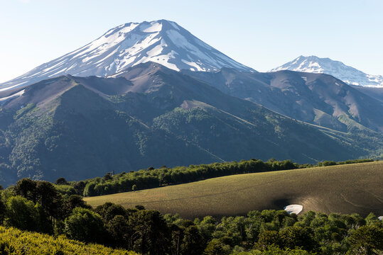 volcanes de  chile, sur de  chile, araucarias, paisaje, naturaleza, montagna, cielo, verde, panorama, impresiones, campa, montagna, valle, cerro, verano, campo, c&eacute;sped, &aacute;rbol, bosque, campestre, campe