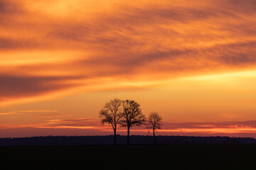 Obraz na płótnie Canvas Scenic orange sunset sky background