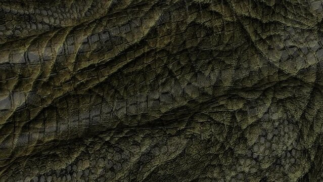 Background of the snake leather canvas is in motion. Backdrop of the reptile skin.