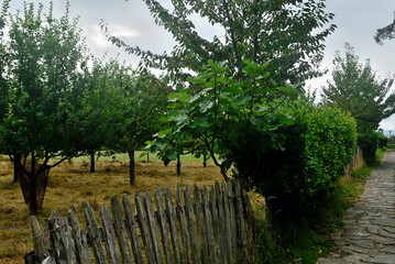Fototapeta premium fence in the garden