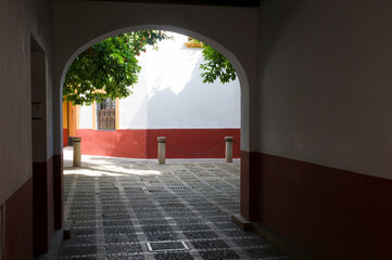 looking through a shady archway into a sunny square with orange trees, Seville, Spain.