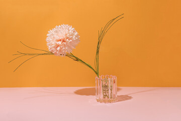 Glass vase delicate pink blossom on orange and pink background. Retro elegant style. Minimal spring, summer  concept.