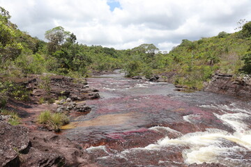 mountain river in the mountains