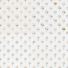 seamless pattern with flowers