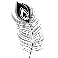 Black Peacock Feather SVG. Vector illustration