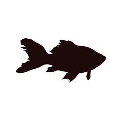 goldfish, fish - fish silhouette